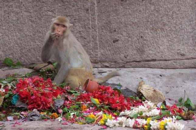 Varanasi, India