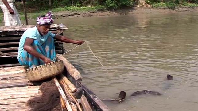 Banglades vidrás halászai
