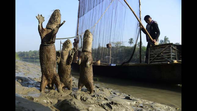 Banglades vidrás halászai