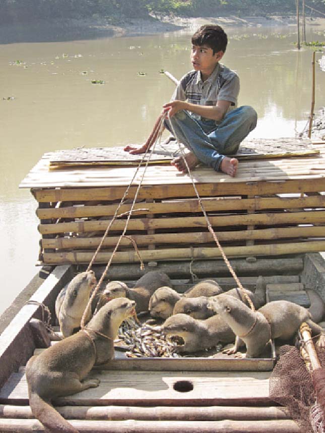 Banglades vidrás halászai