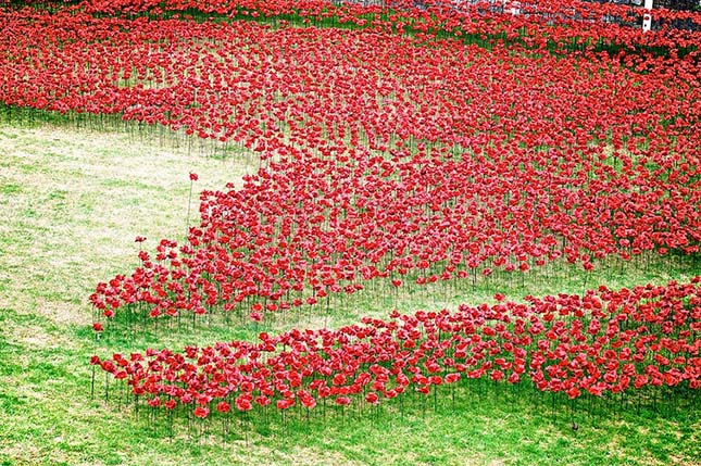 Megemlékezés az első világháború áldozatiról