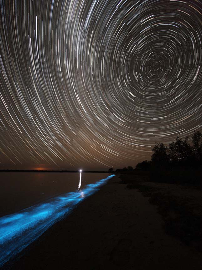 Világító tó Ausztráliában, Gippsland lake