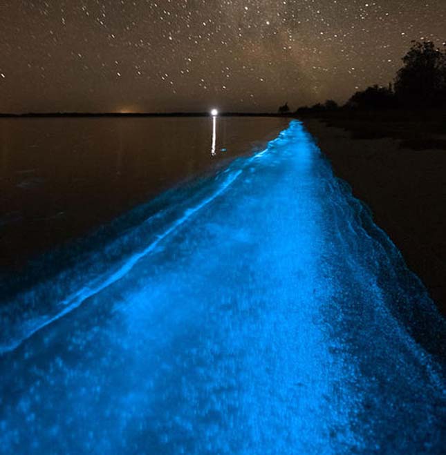 Világító tó Ausztráliában, Gippsland lake