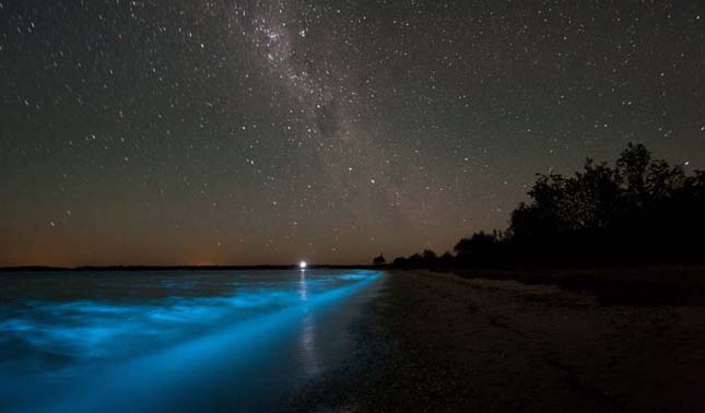 Világító tó Ausztráliában, Gippsland lake