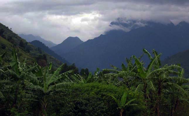 Virunga Nemzeti Park