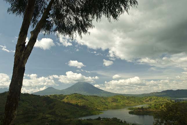 Virunga Nemzeti Park