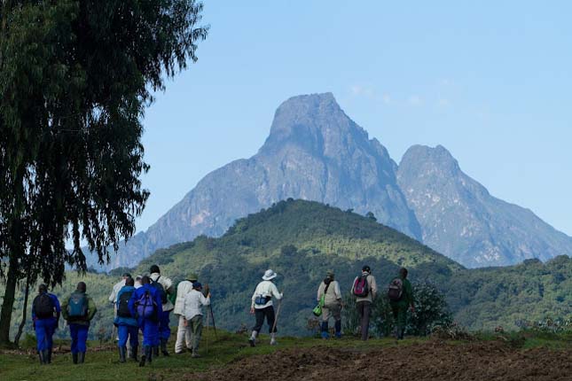 Virunga Nemzeti Park