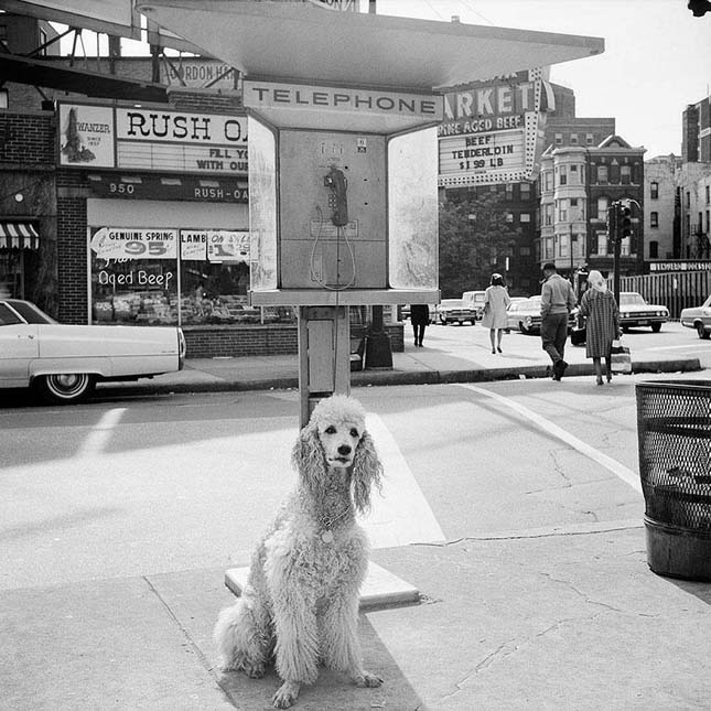 Vivian Maier