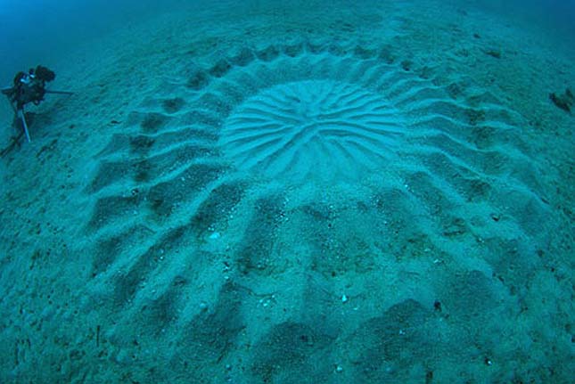 Rejtélyes víz alatti körök