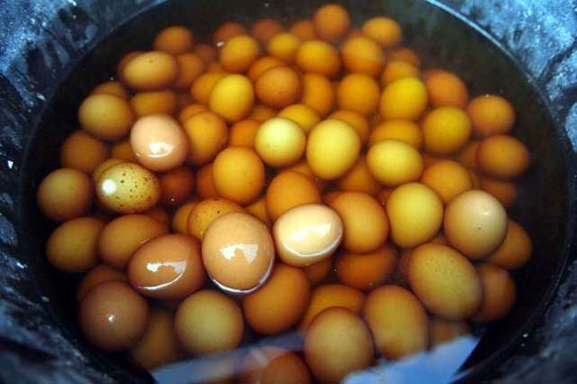 kavicsos tojás a vizeletben