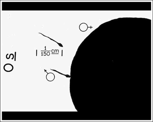 A Voyager-1 űrszonda által vitt fotó