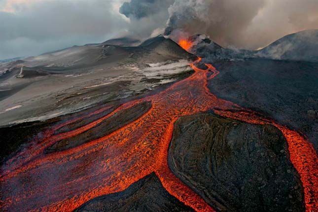 Wildlife Photographer of the Year