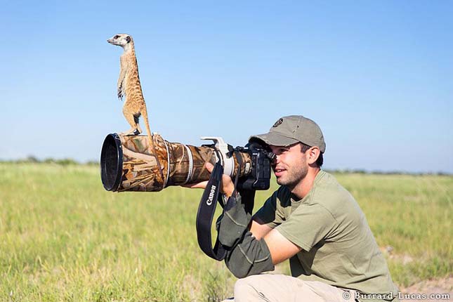 Will Burrard-Lucas