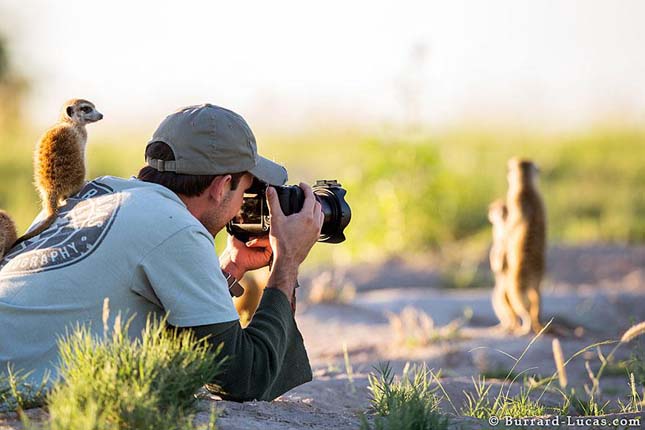 Will Burrard-Lucas