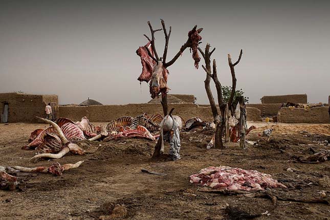 World Press Photo 2011