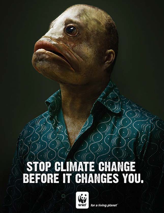 WWF reklám