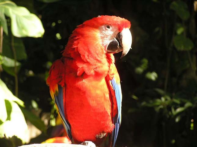 Xcaret Ökológiai Park, Mexikó