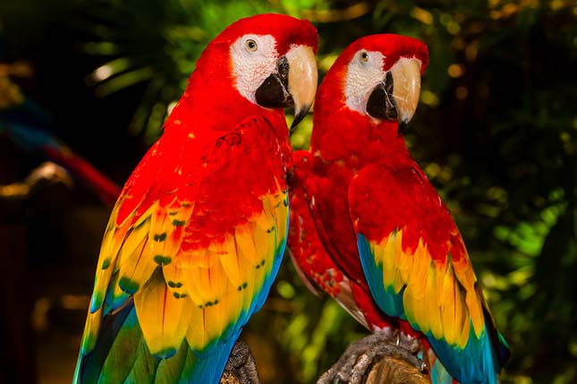 Xcaret Ökológiai Park, Mexikó