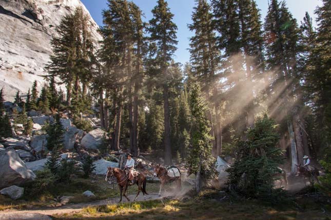 Yosemite Nemzeti Park