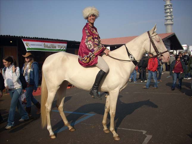 Akhal teke