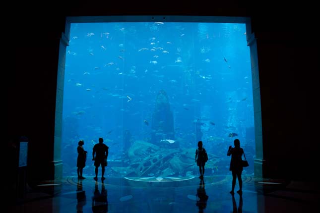 Atlantis The Palm