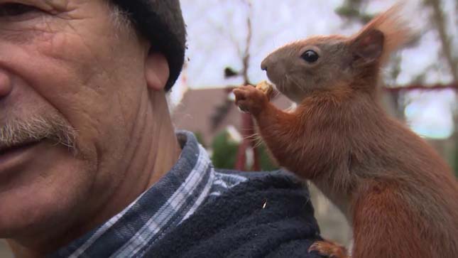 A megmentett mókus és a bácsi barátsága