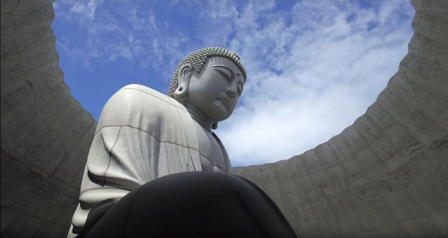 Levendulamező öleli körbe a hatalmas Buddha szobrot