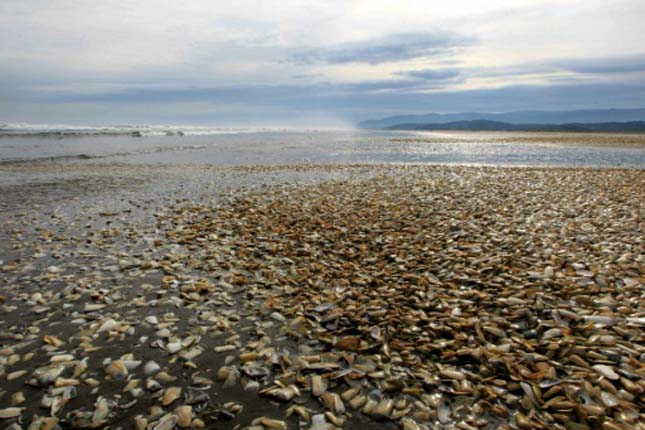 Chile El Nino