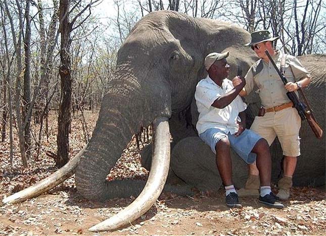 Elefántvadászat