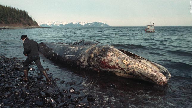 Exxon Valdez, 1989