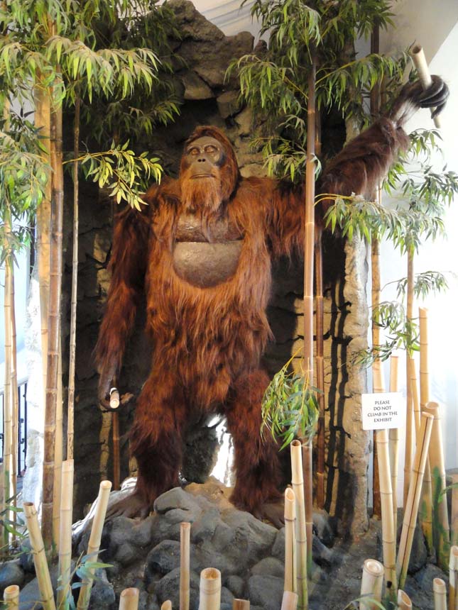 Gigantopithecus