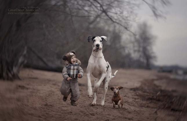 Kisgyerekek és hatalmas kutyáik