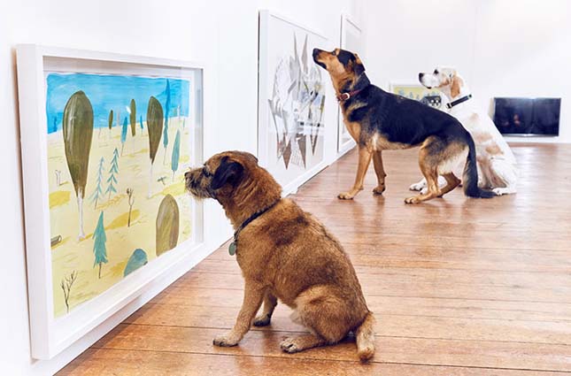 Kutyáknak szóló kiállítás