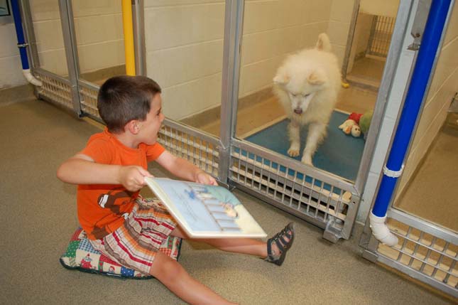 Menhelyi kutyáknak olvasnak fel gyerekek