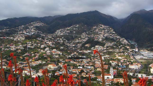 Madeira, az örök tavasz szigete
