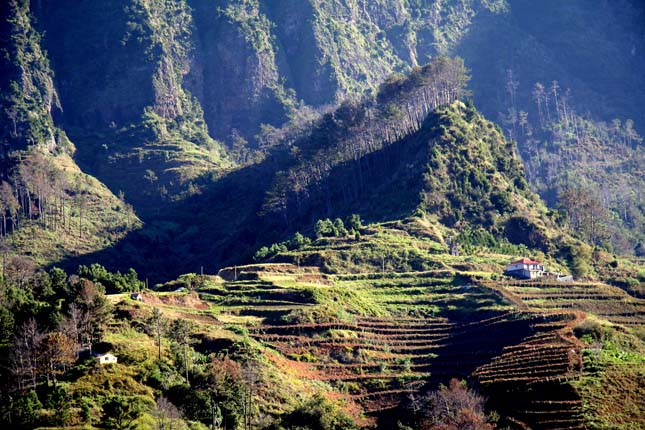 Madeira, az örök tavasz szigete