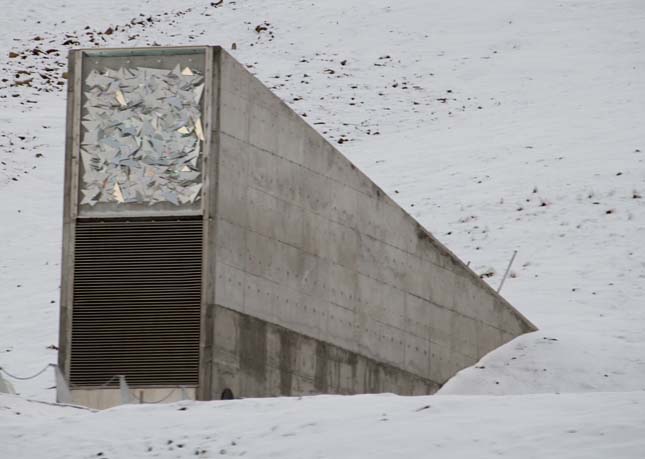 Nemzetközi Magbunker