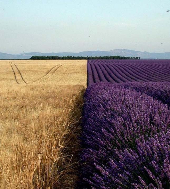 Elképesztő fotók