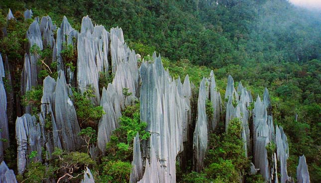 Gunung Mulu Nemzeti Park