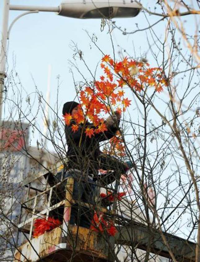 Őszi levelekt ragasztottak egy kínai város fáira