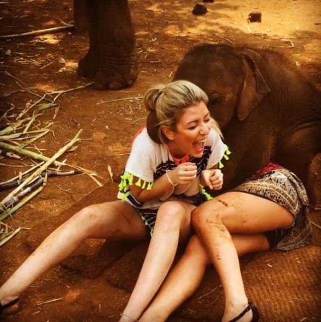 Imádja ölelgetni a turistákat a kiselefánt
