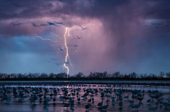 2016 legiobb fotói a Nat Geo válogatásában