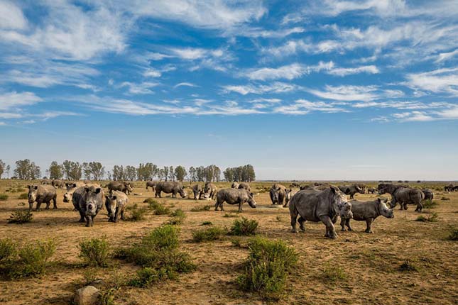 2016 legiobb fotói a Nat Geo válogatásában