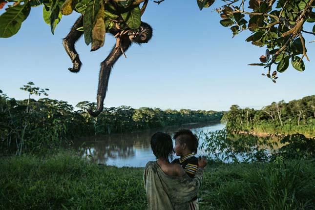 2016 legiobb fotói a Nat Geo válogatásában