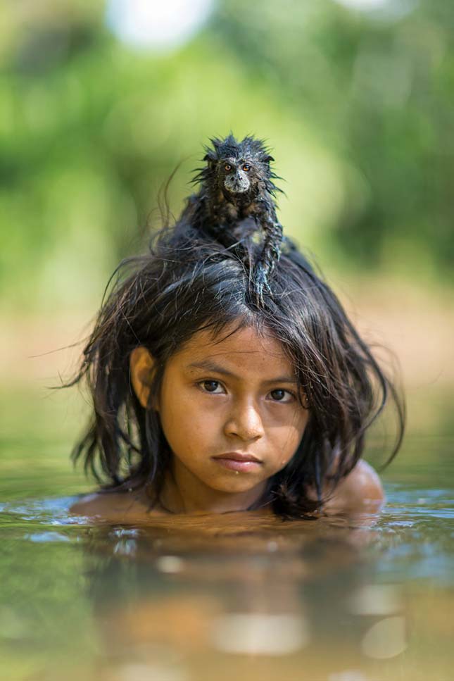 2016 legiobb fotói a Nat Geo válogatásában