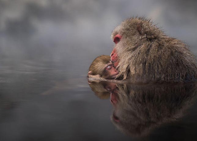 National Geographic utazási fotópályázat 2016