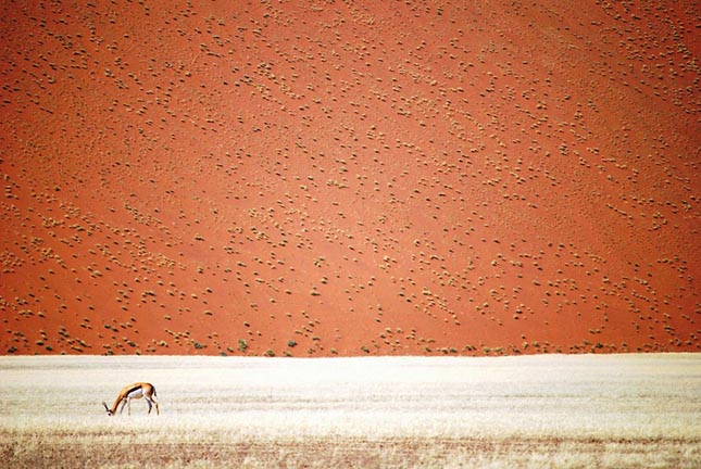 National Geographic utazási fotópályázat 2016