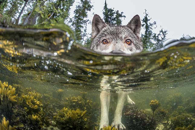 Nat Geo képek