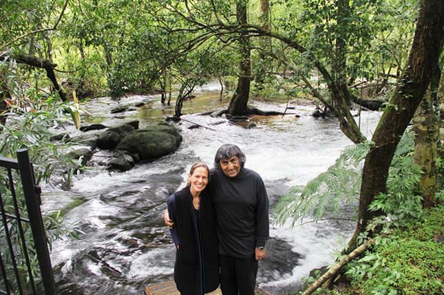 Egy házaspárnak köszönhetően éledt újjá az erdő