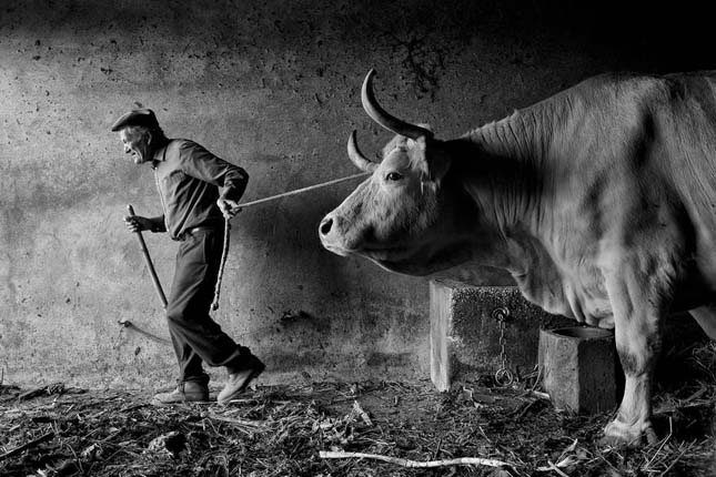 Siena International Photo Awards